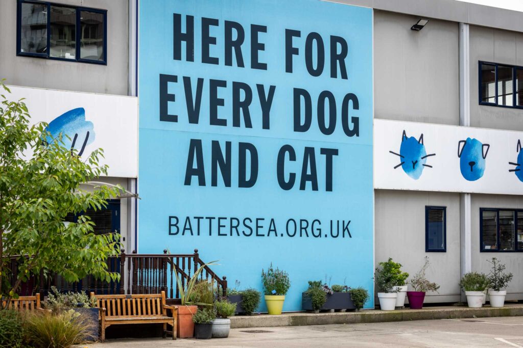 Battersea, brand photography by Chris Whittam